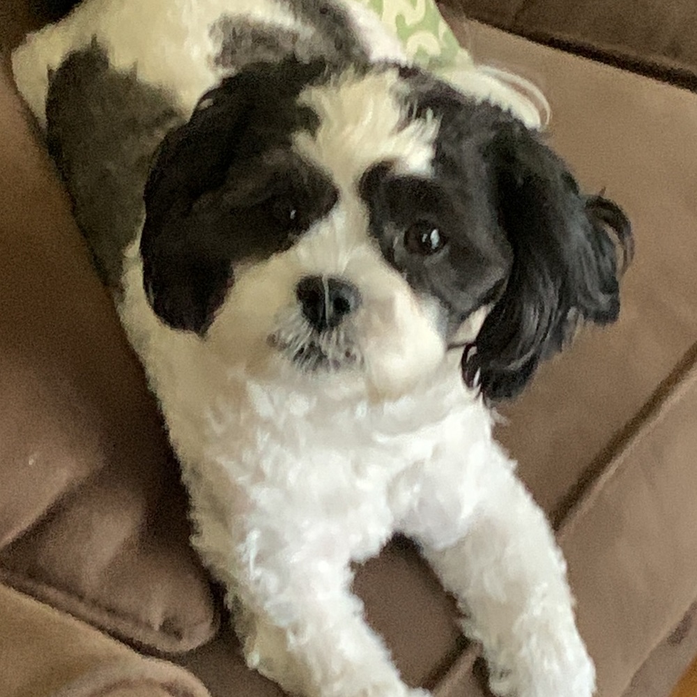 Meet your Posher, Grace